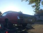 1971 Olds Cutlass Project