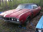 1968 442 Convertible & cutlass